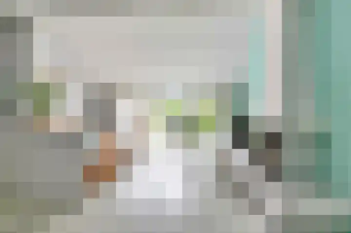 Bessenmaat 18 Huissen thumbnail 7