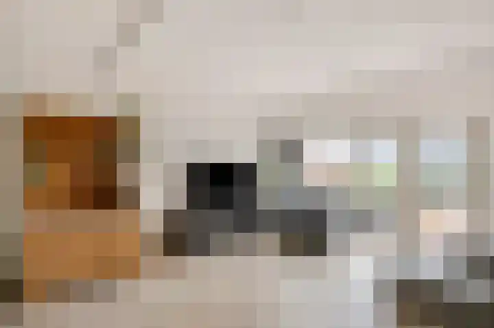 Bessenmaat 20 Huissen thumbnail 10