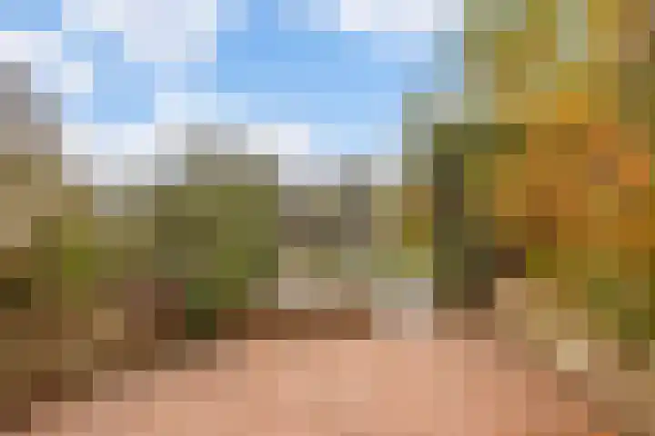 Bessenmaat 20 Huissen thumbnail 12