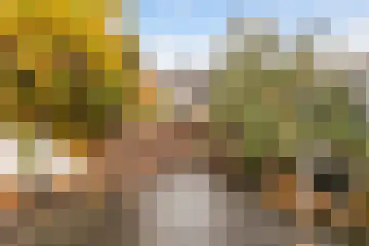Bessenmaat 20 Huissen thumbnail 13
