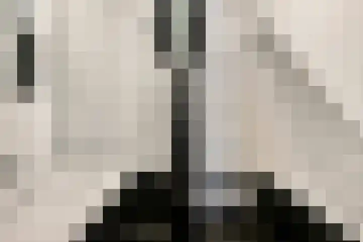 Bessenmaat 20 Huissen thumbnail 17