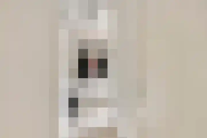 Bessenmaat 20 Huissen thumbnail 5