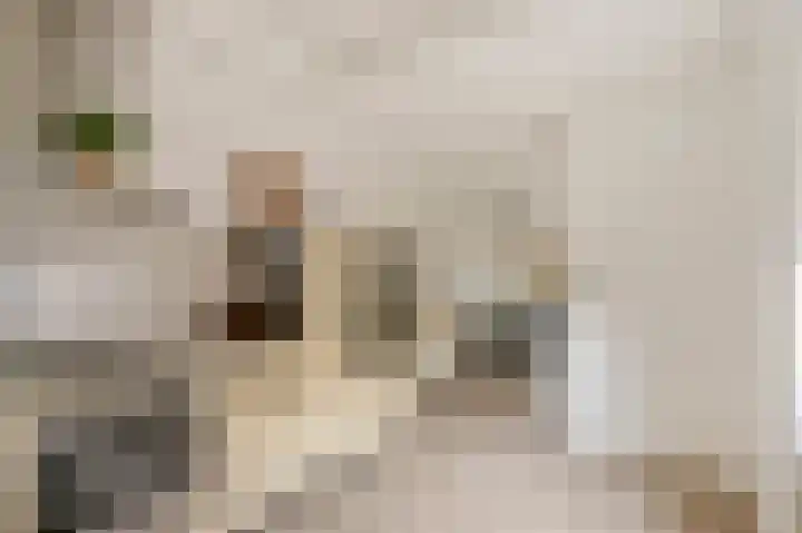 Bessenmaat 20 Huissen thumbnail 8