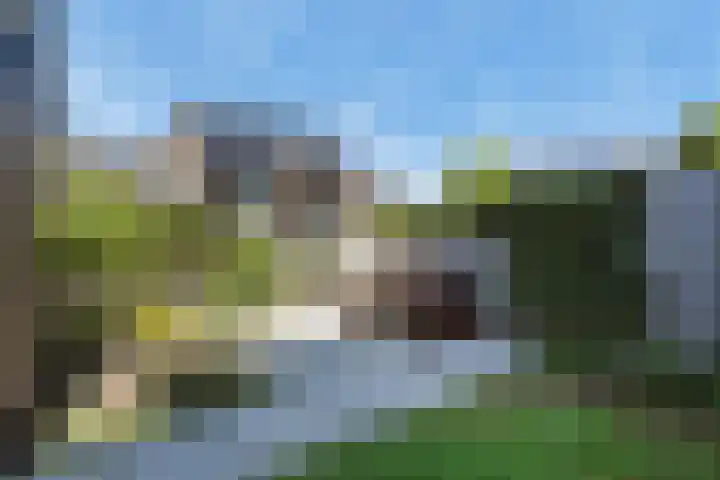 Bessentuin 9 Rijswijk thumbnail 13