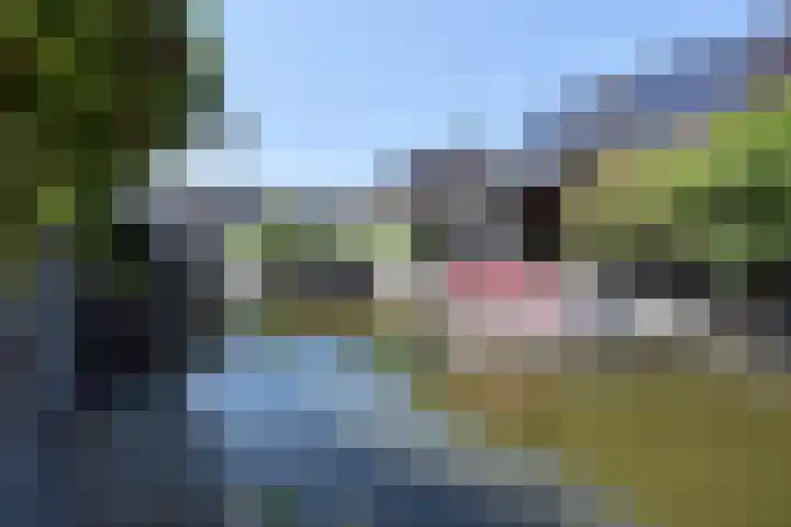 Bessentuin 9 Rijswijk thumbnail 19