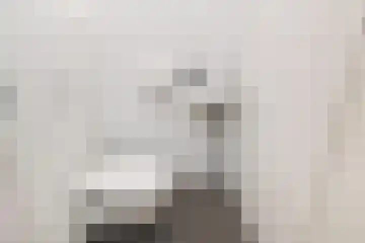 Bessentuin 9 Rijswijk thumbnail 8