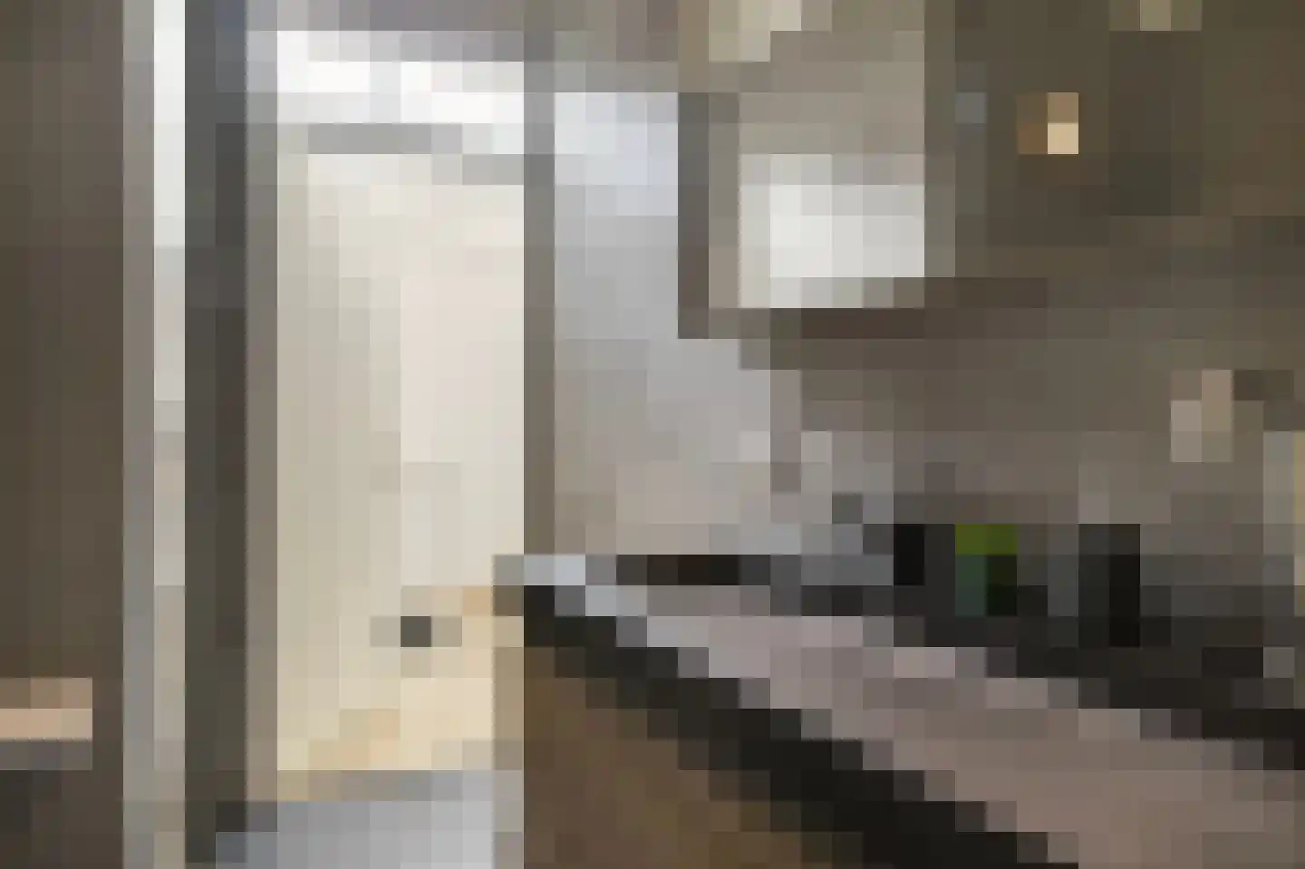 Bessenvlinderstraat 11 Veenendaal thumbnail 29