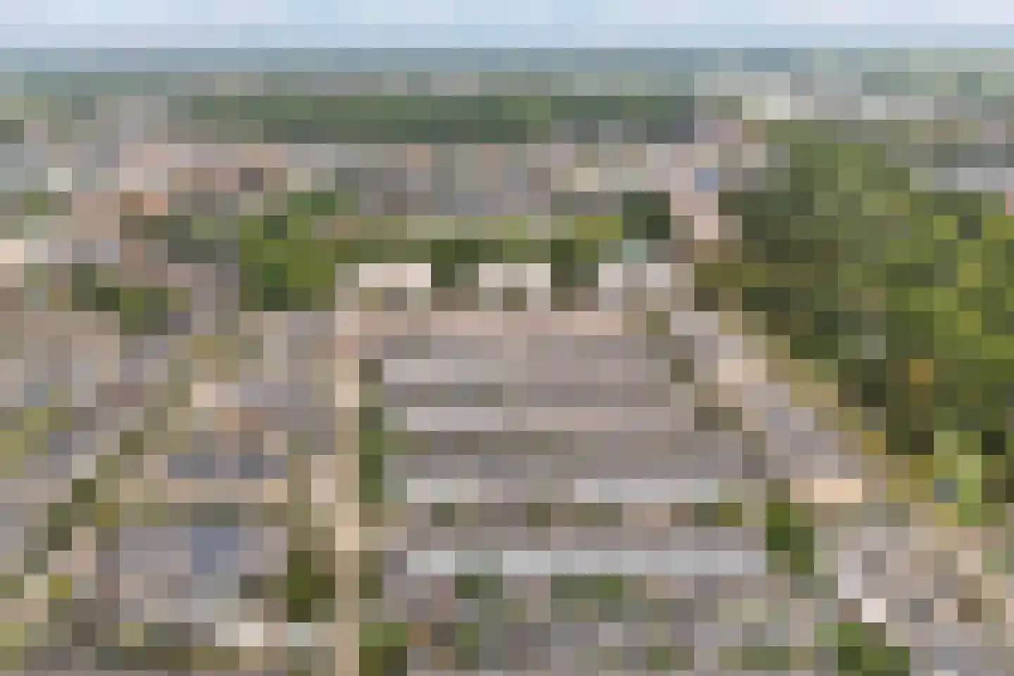 Bessenvlinderstraat 11 Veenendaal thumbnail 40