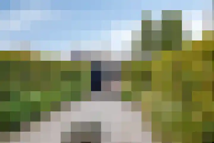 Bessertpad 10 Prinsenbeek thumbnail 4