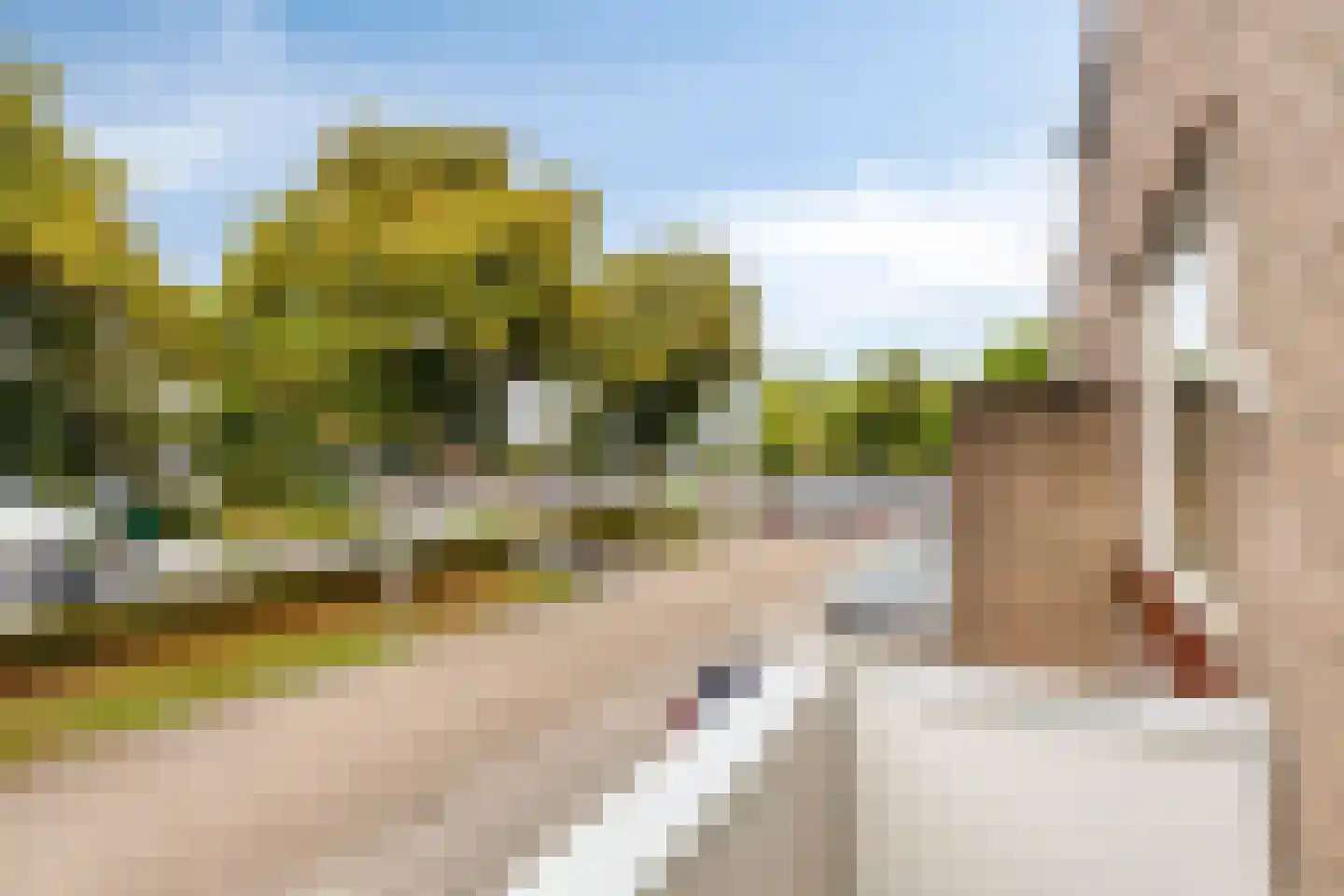 Bessestraat 21 Goes thumbnail 18