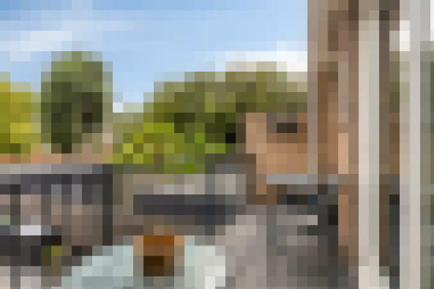 Bessestraat 21 Goes thumbnail 20
