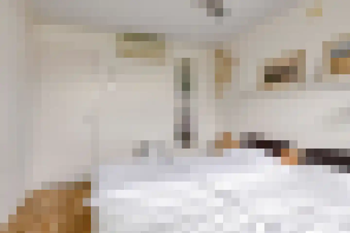 Bessestraat 21 Goes thumbnail 24