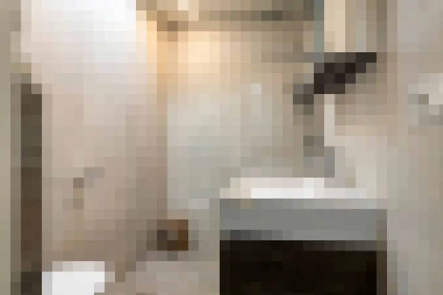 Bessestraat 21 Goes thumbnail 26