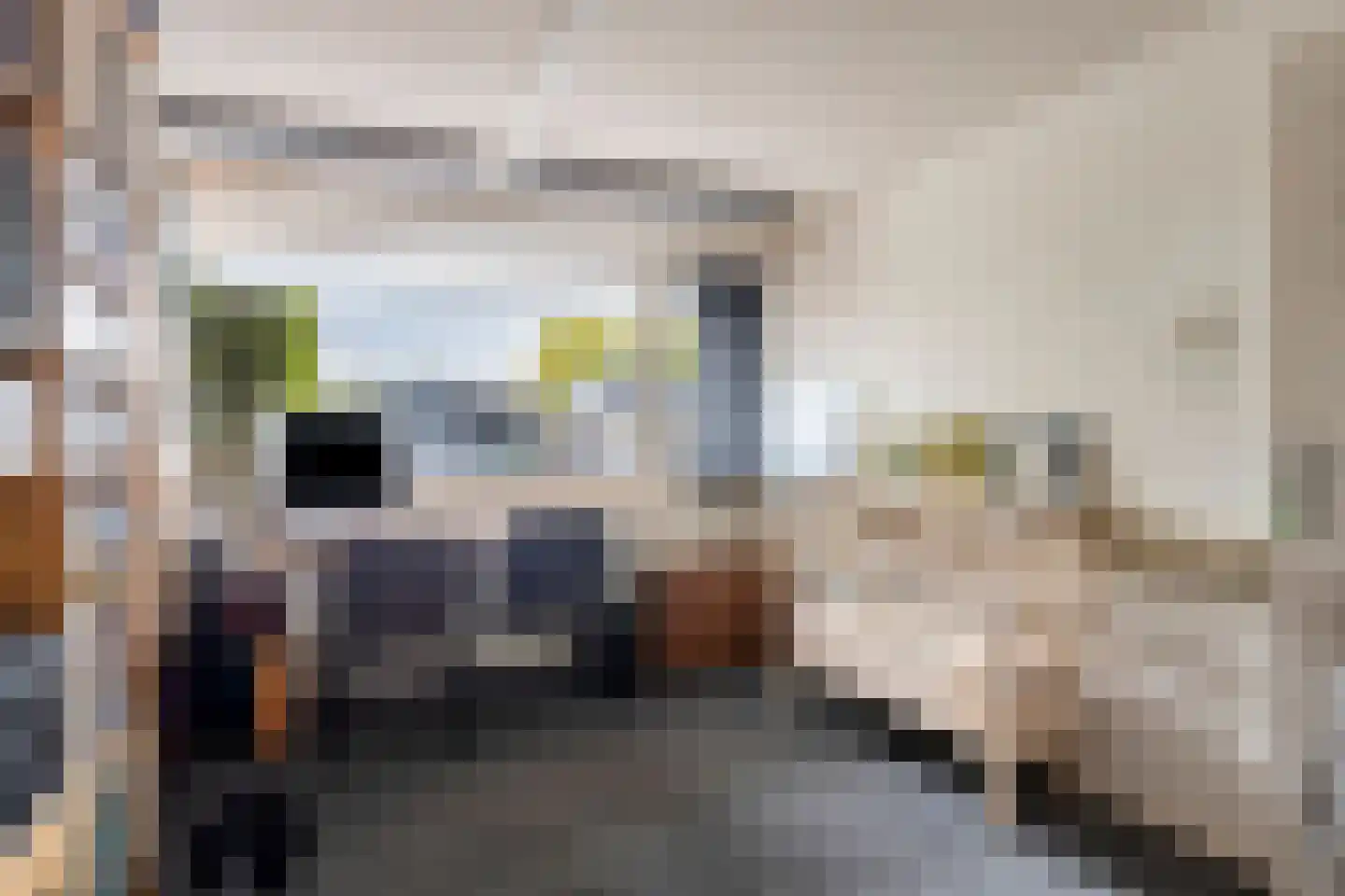Bessestraat 21 Goes thumbnail 33