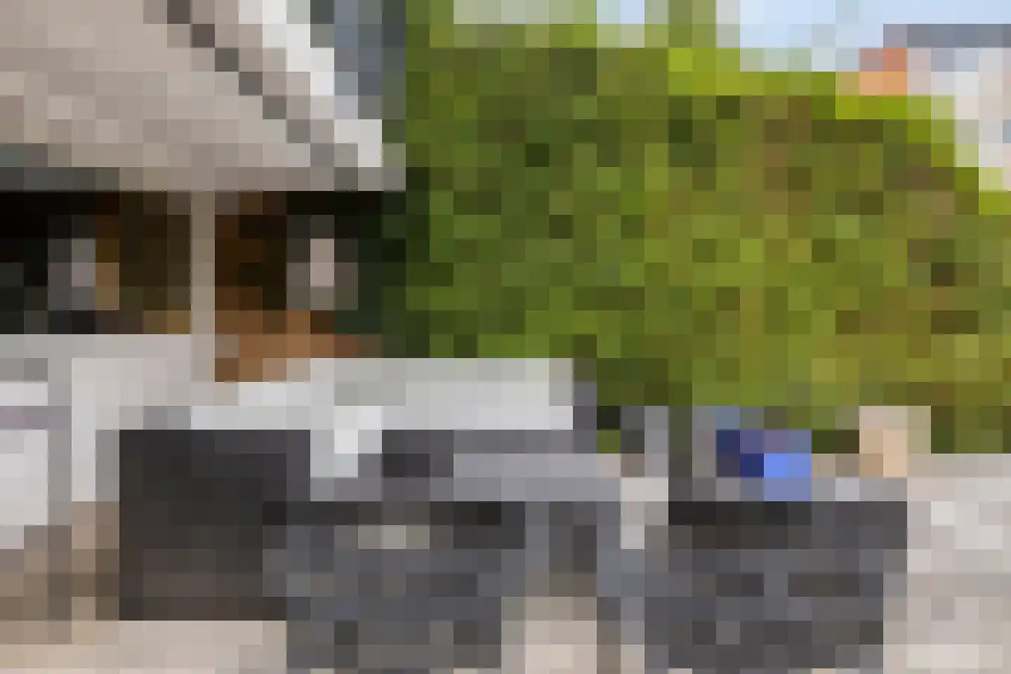 Bessestraat 21 Goes thumbnail 37