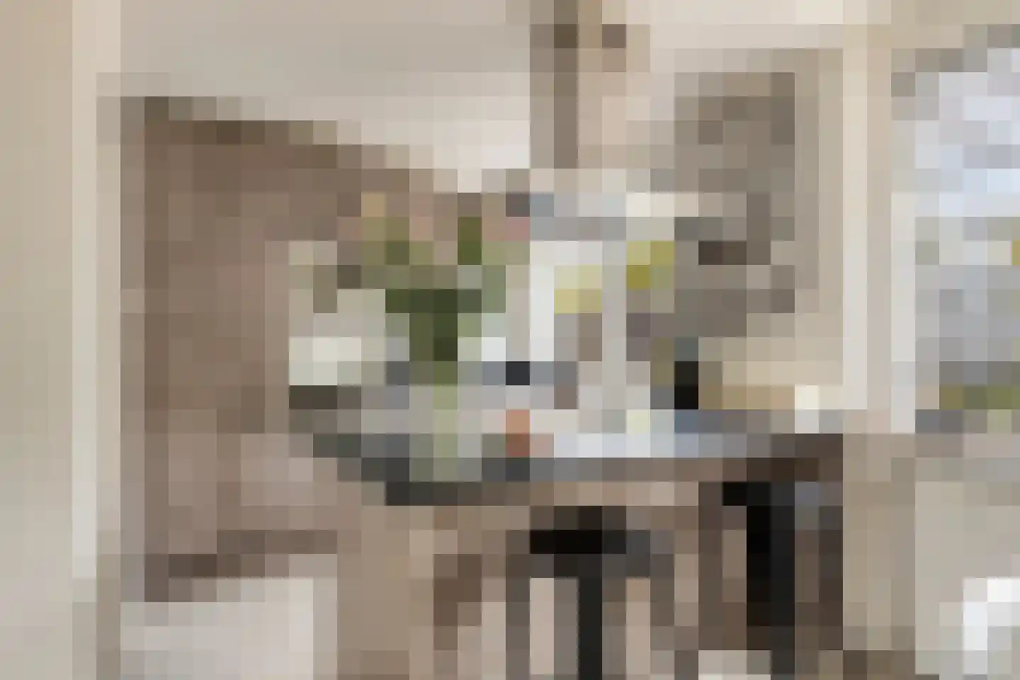 Bessestraat 21 Goes thumbnail 4