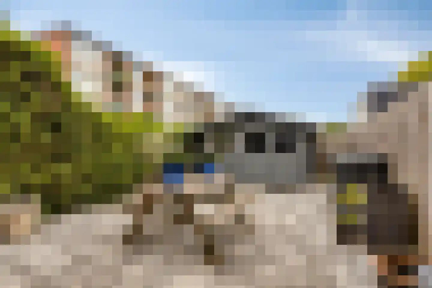 Bessestraat 21 Goes thumbnail 40