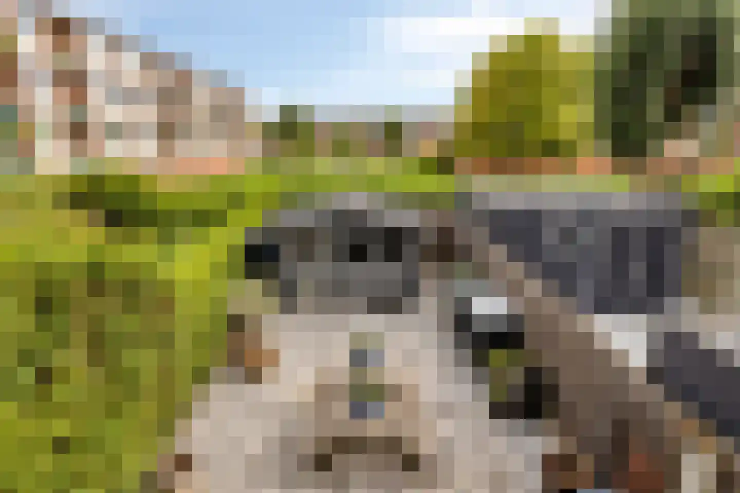 Bessestraat 21 Goes thumbnail 41