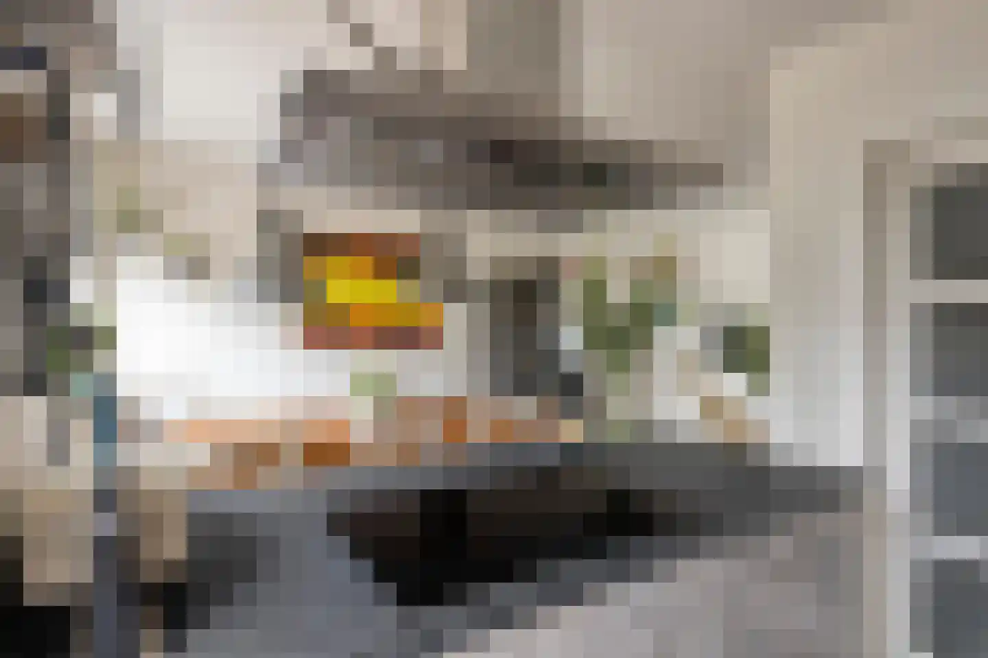Bessestraat 21 Goes thumbnail 6