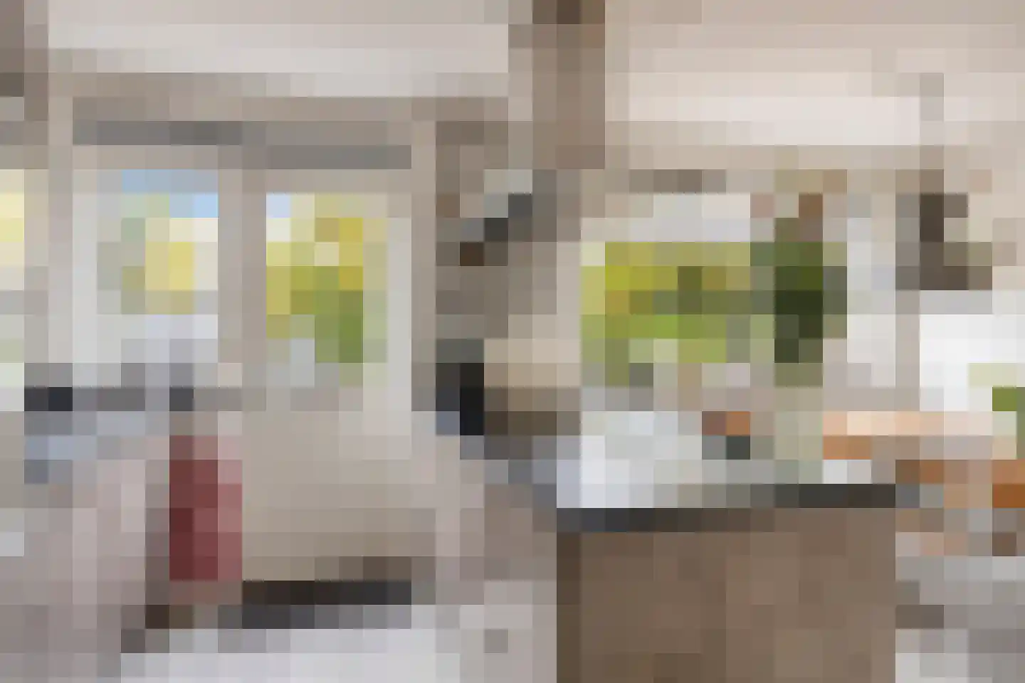 Bessestraat 21 Goes thumbnail 7