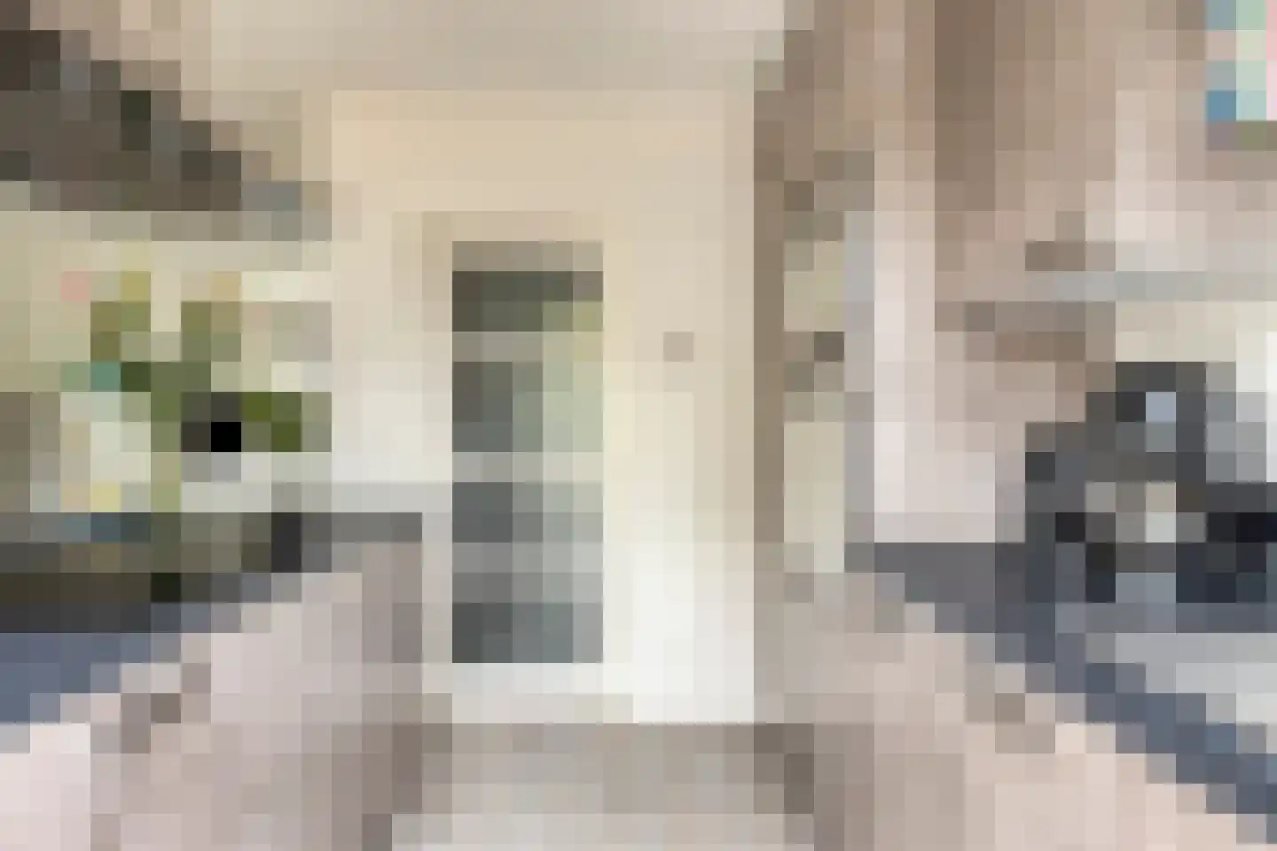 Bessestraat 21 Goes thumbnail 8