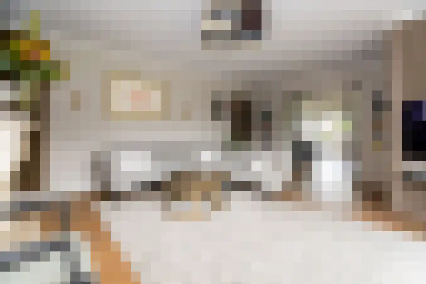 Bessie 4 Nibbixwoud thumbnail 12
