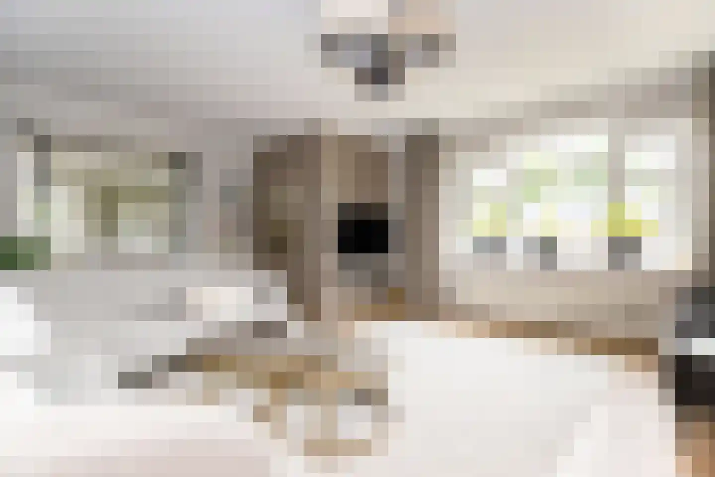 Bessie 4 Nibbixwoud thumbnail 13