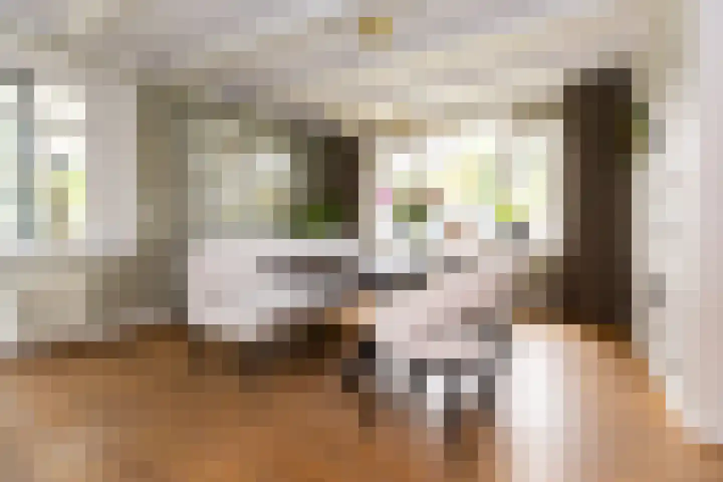 Bessie 4 Nibbixwoud thumbnail 16