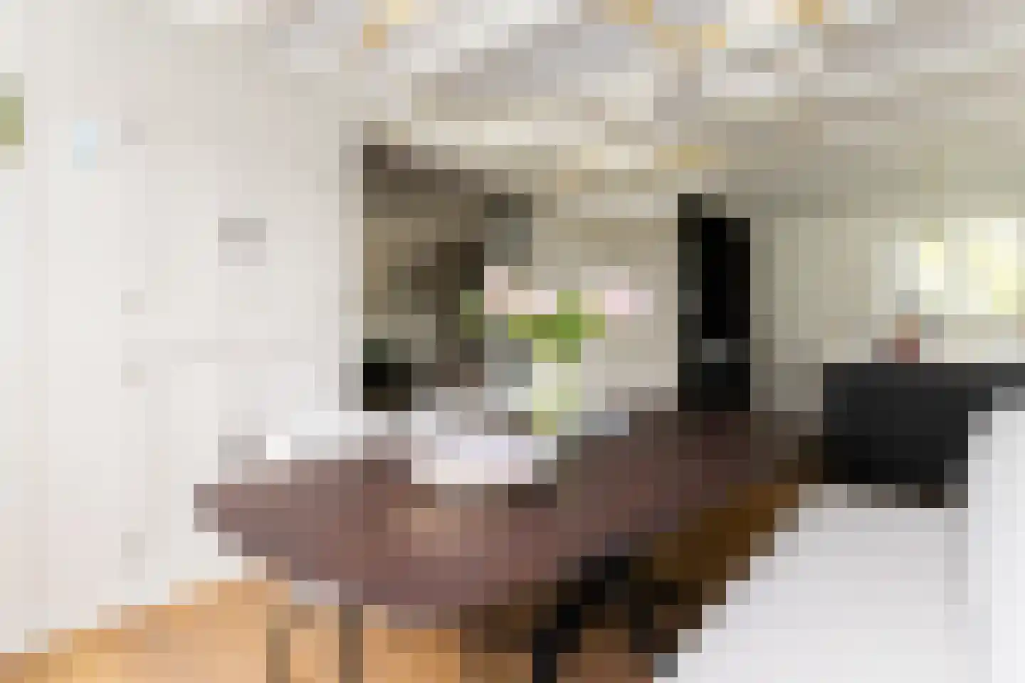 Bessie 4 Nibbixwoud thumbnail 17