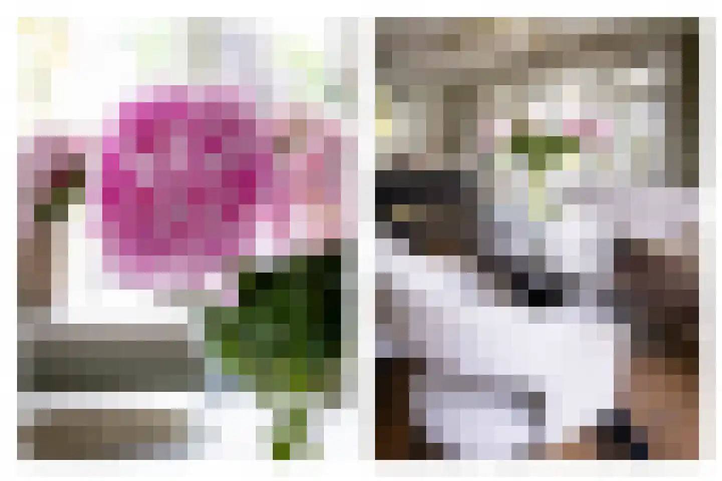Bessie 4 Nibbixwoud thumbnail 20