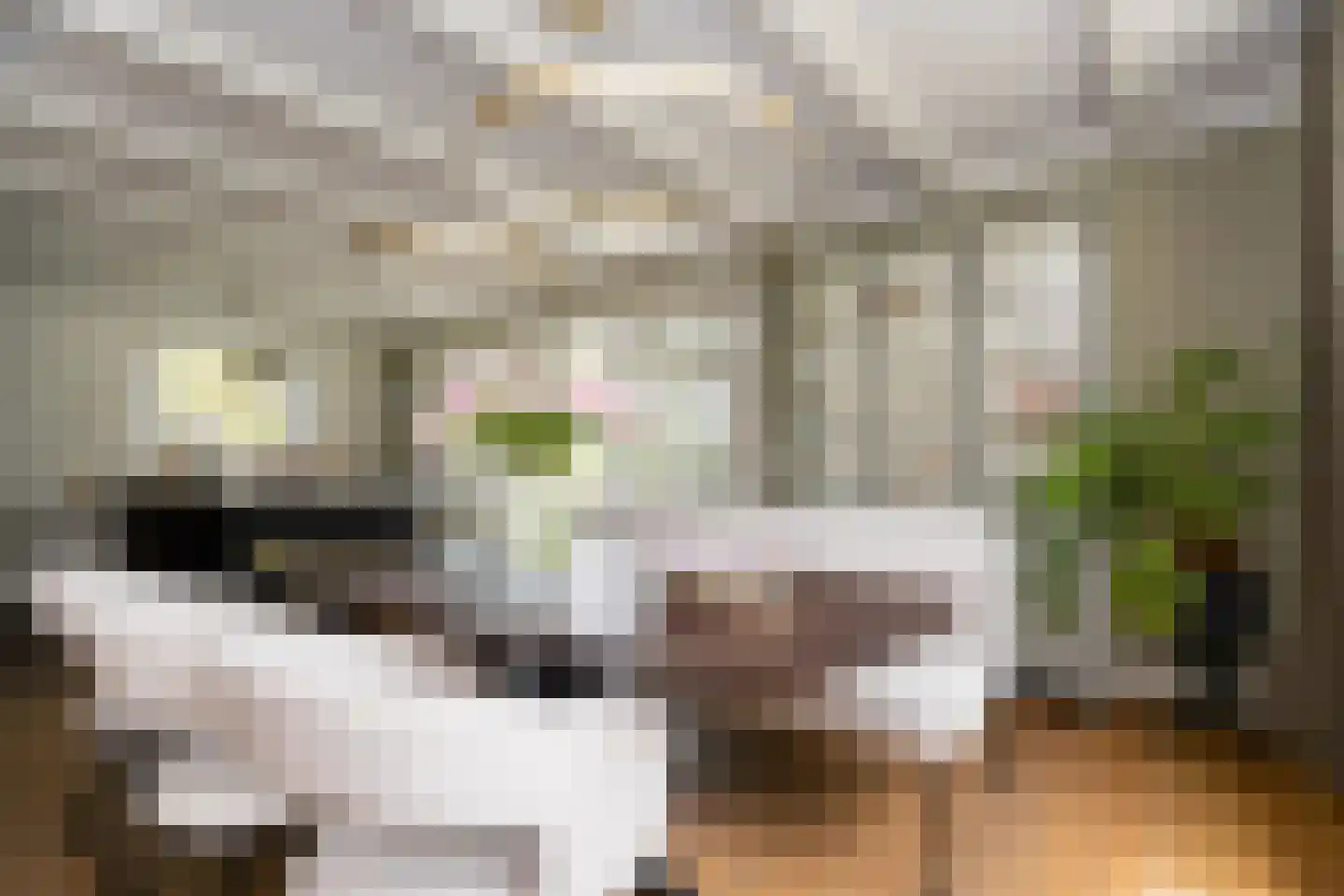 Bessie 4 Nibbixwoud thumbnail 21