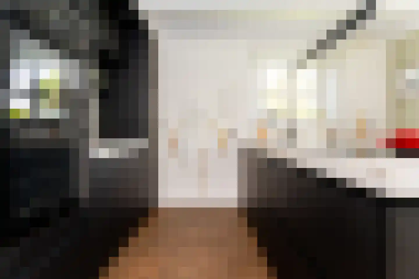 Bessie 4 Nibbixwoud thumbnail 24