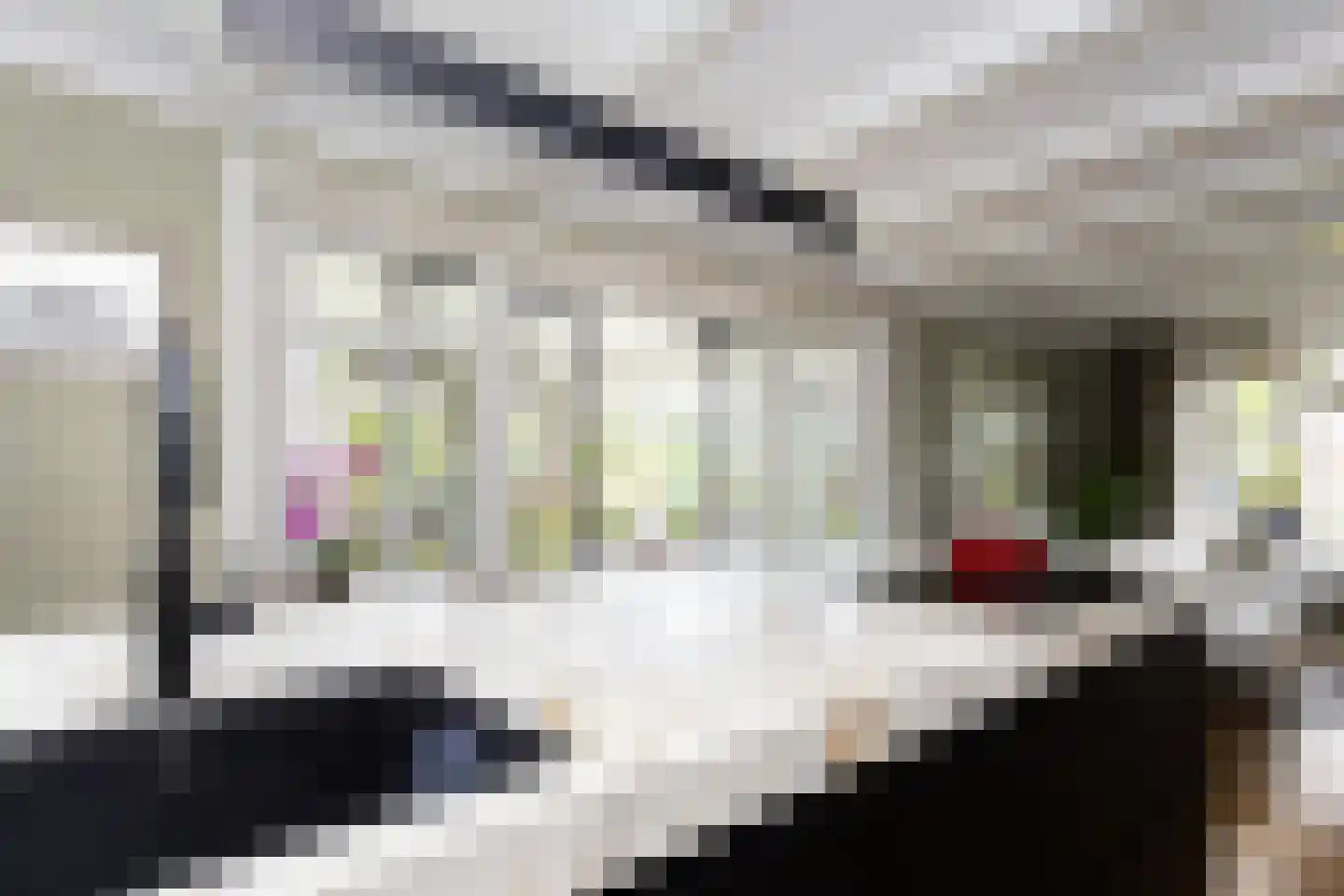 Bessie 4 Nibbixwoud thumbnail 27