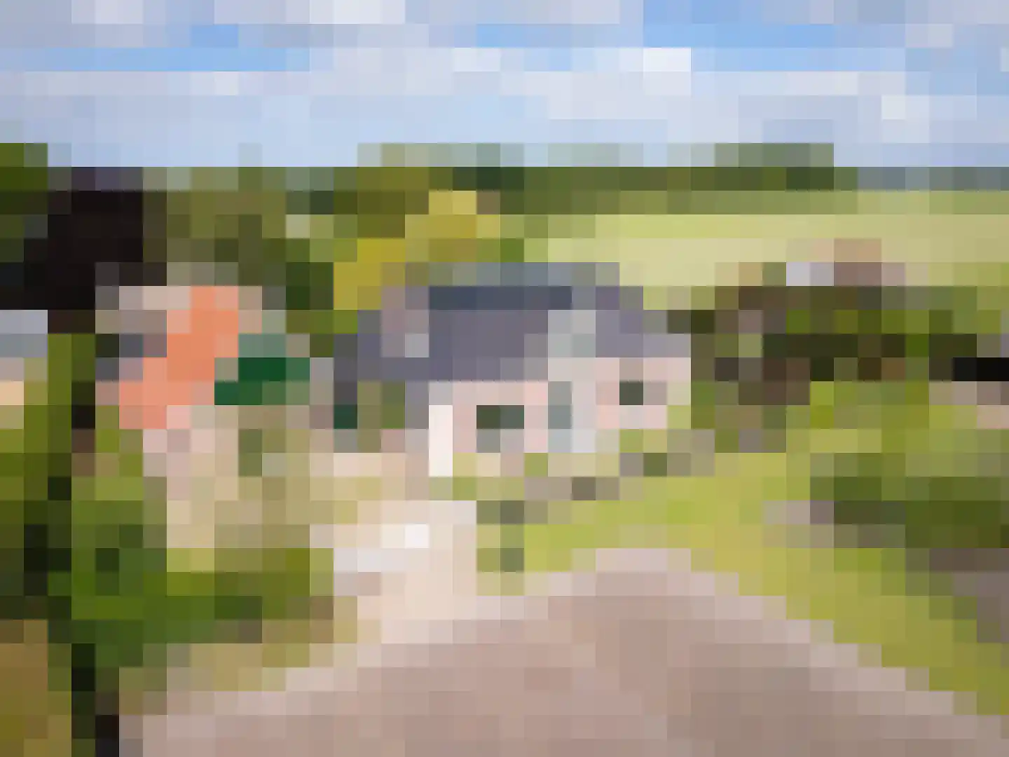 Bessie 4 Nibbixwoud foto 3