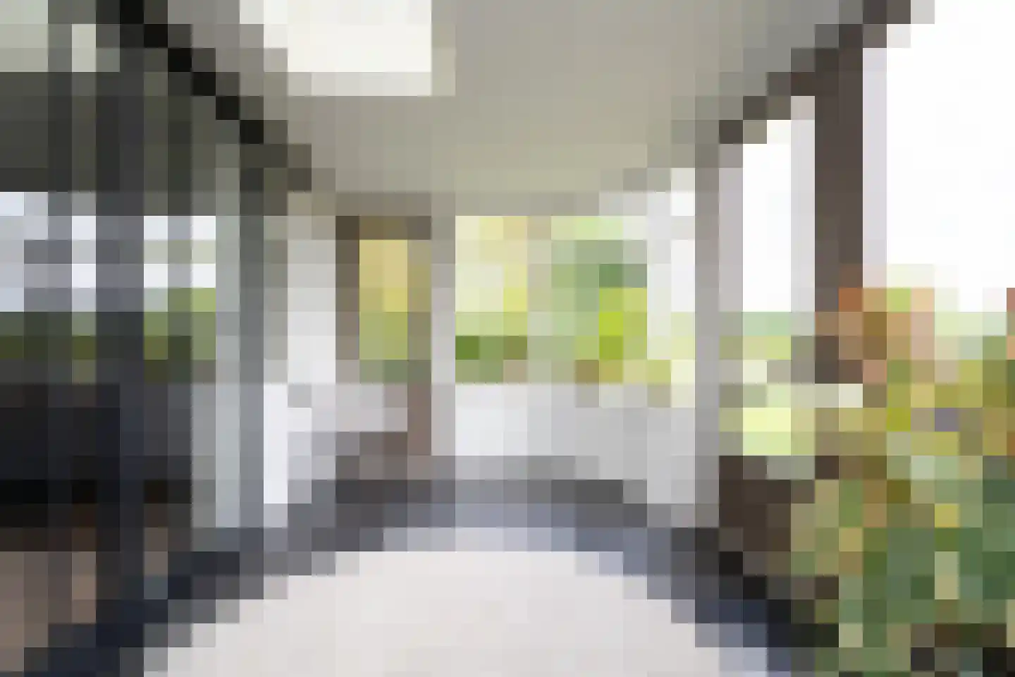 Bessie 4 Nibbixwoud thumbnail 32