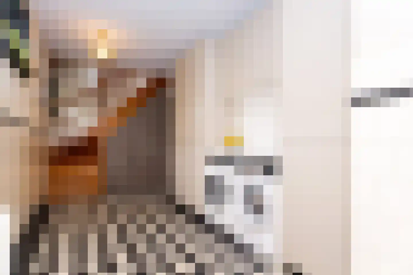 Bessie 4 Nibbixwoud thumbnail 34