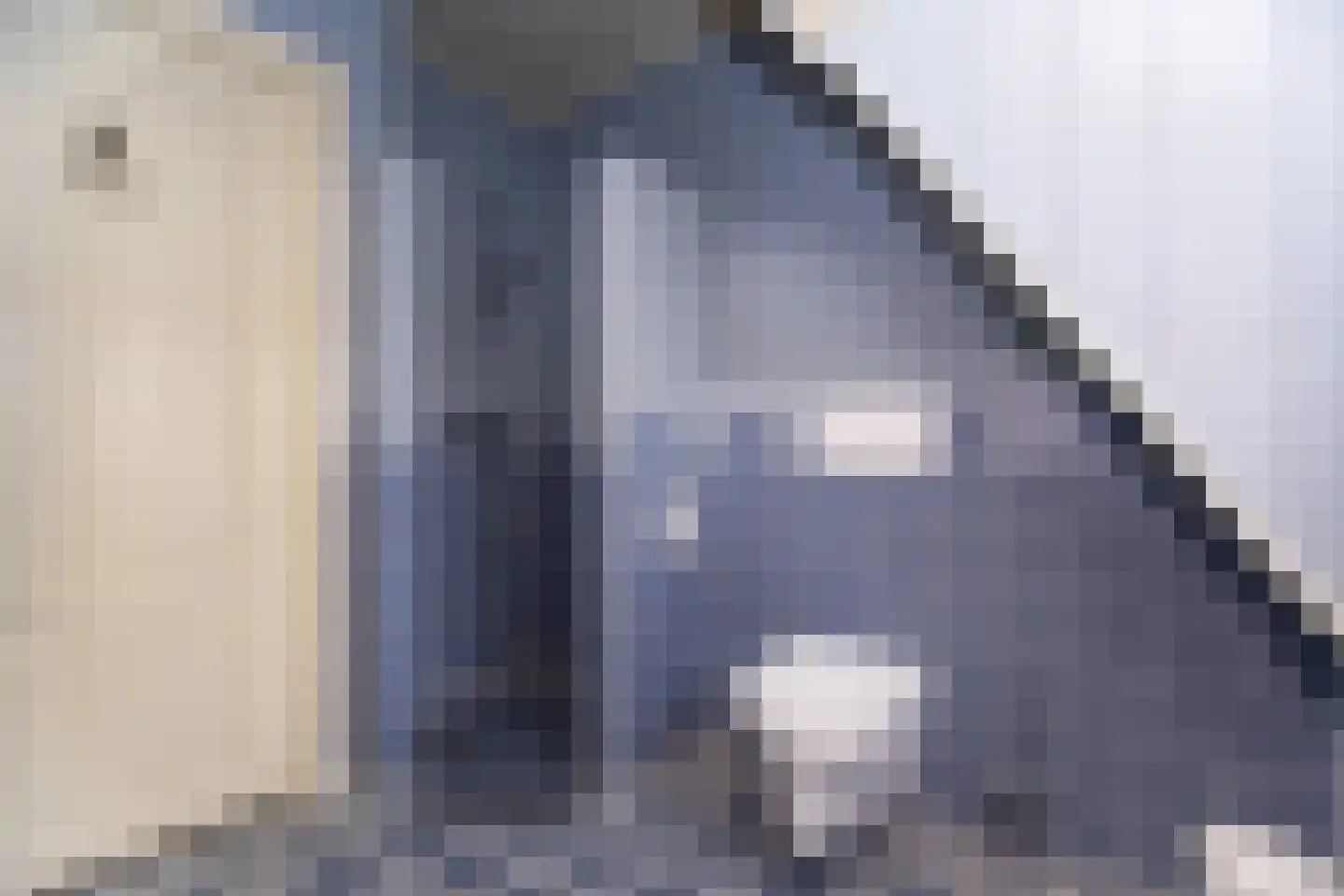 Bessie 4 Nibbixwoud thumbnail 43