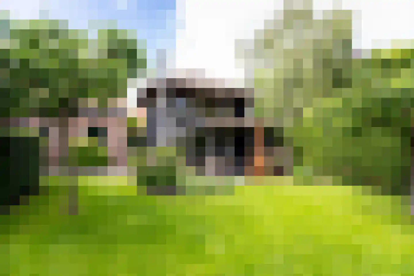 Bessie 4 Nibbixwoud thumbnail 49