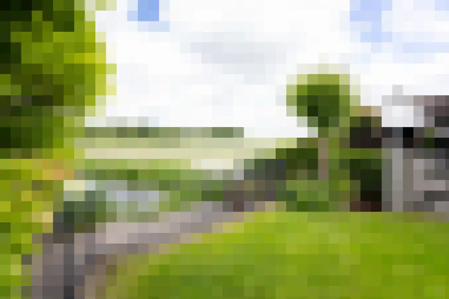 Bessie 4 Nibbixwoud thumbnail 5