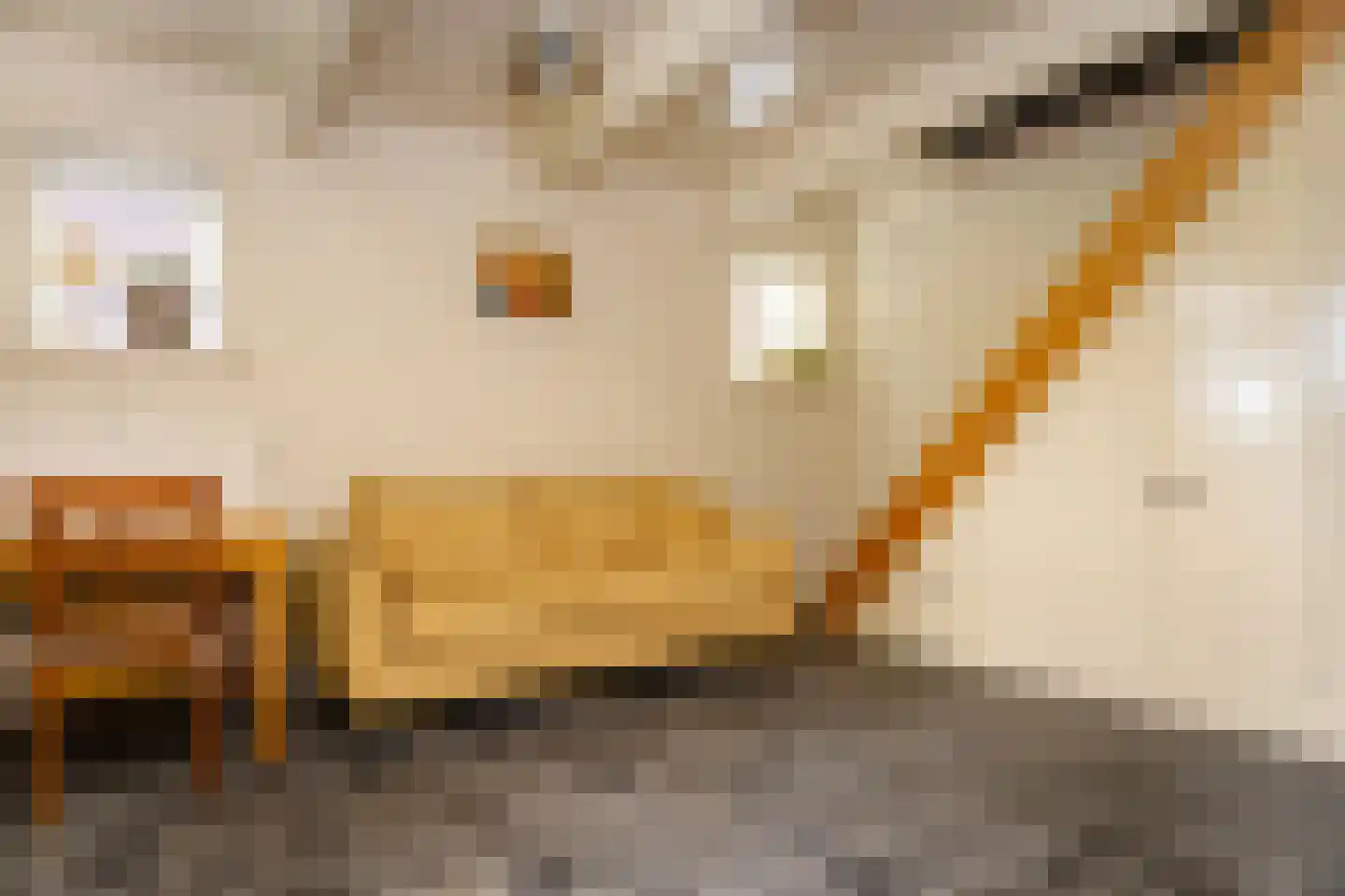 Bessie 4 Nibbixwoud thumbnail 51