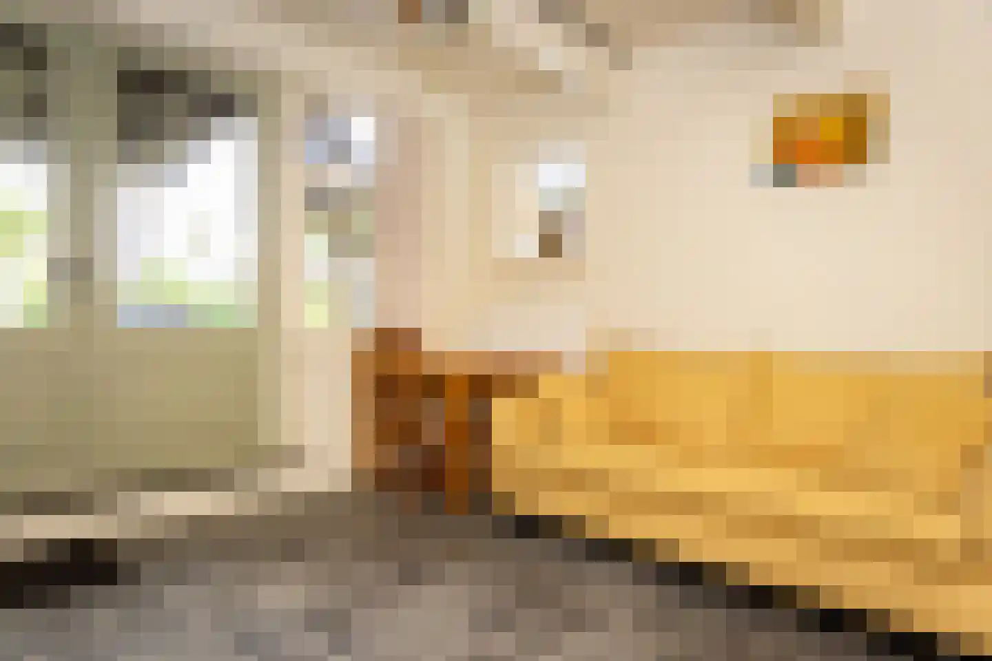Bessie 4 Nibbixwoud thumbnail 52