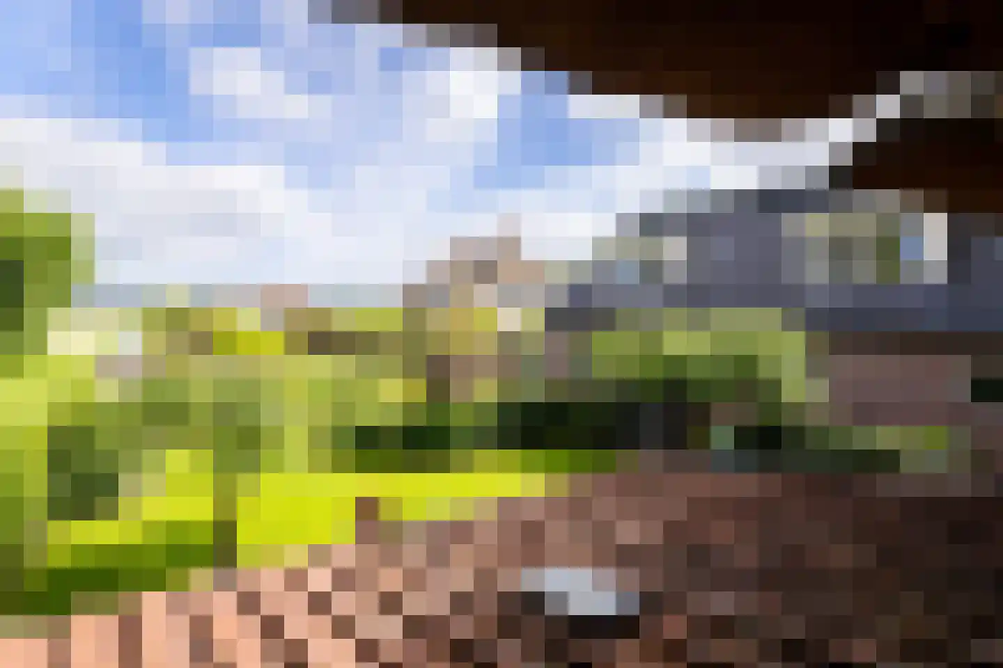 Bessie 4 Nibbixwoud thumbnail 58