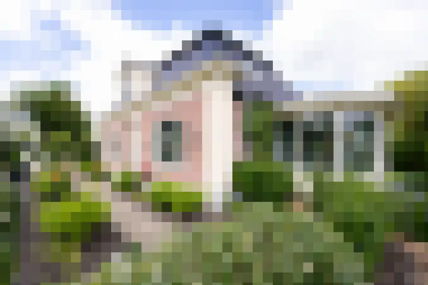 Bessie 4 Nibbixwoud thumbnail 6