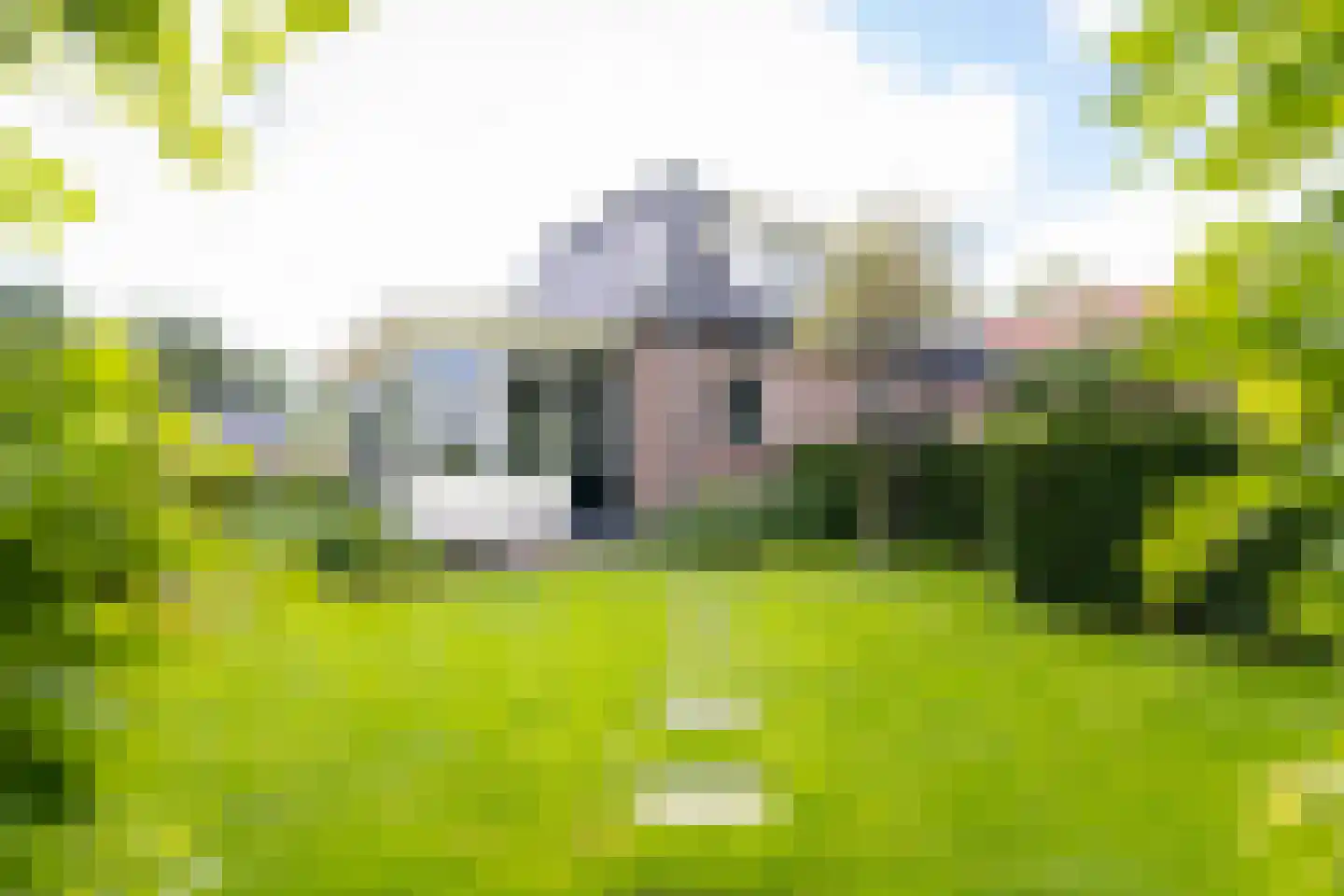 Bessie 4 Nibbixwoud thumbnail 60