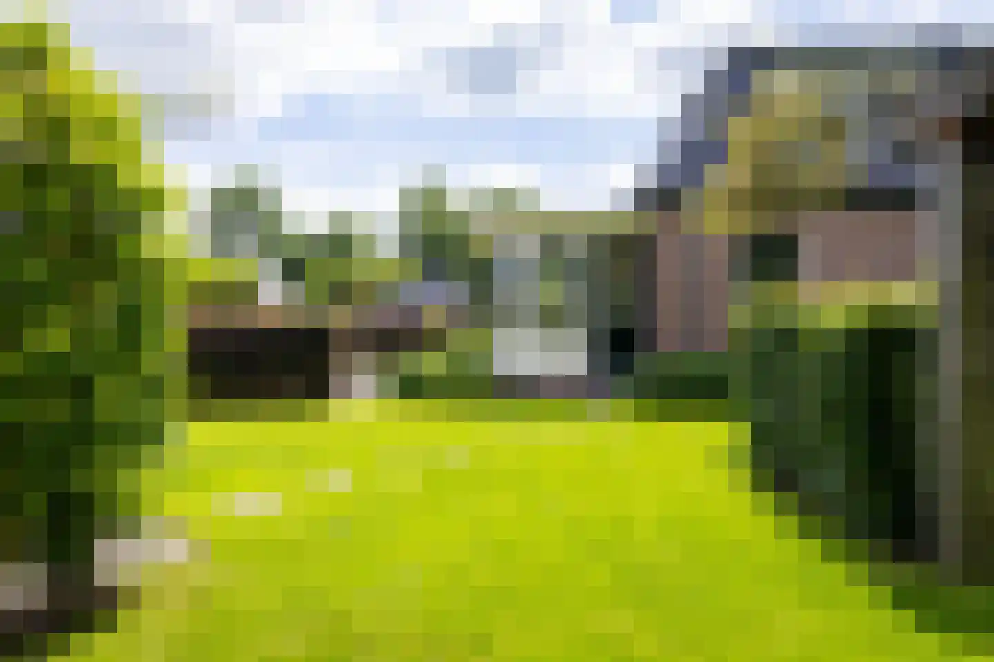 Bessie 4 Nibbixwoud thumbnail 62