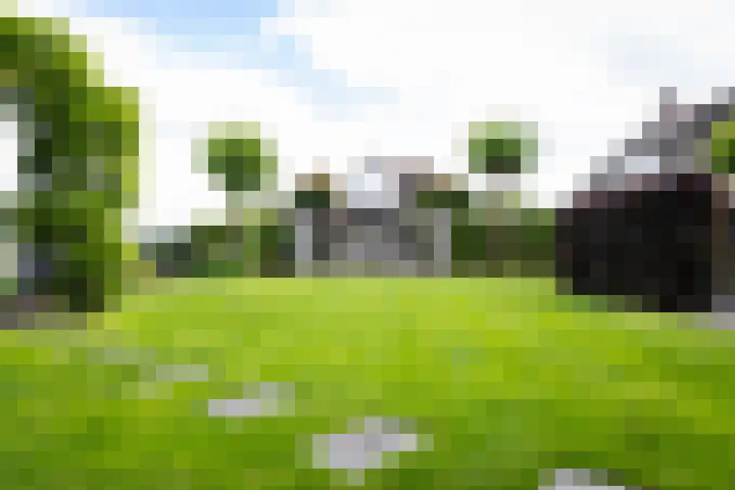 Bessie 4 Nibbixwoud thumbnail 63