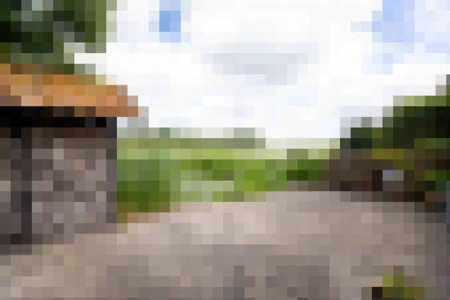 Bessie 4 Nibbixwoud thumbnail 65