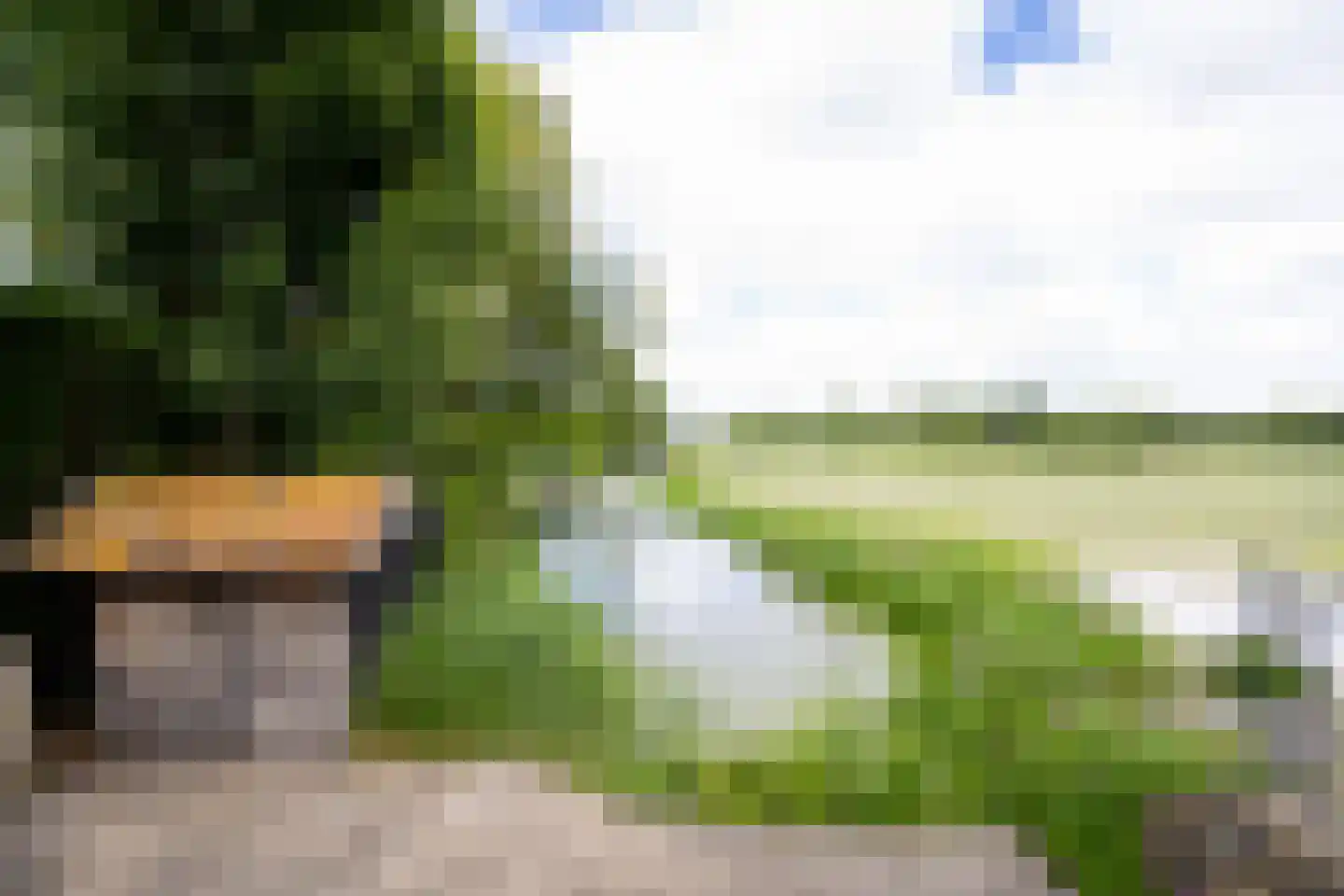 Bessie 4 Nibbixwoud thumbnail 66