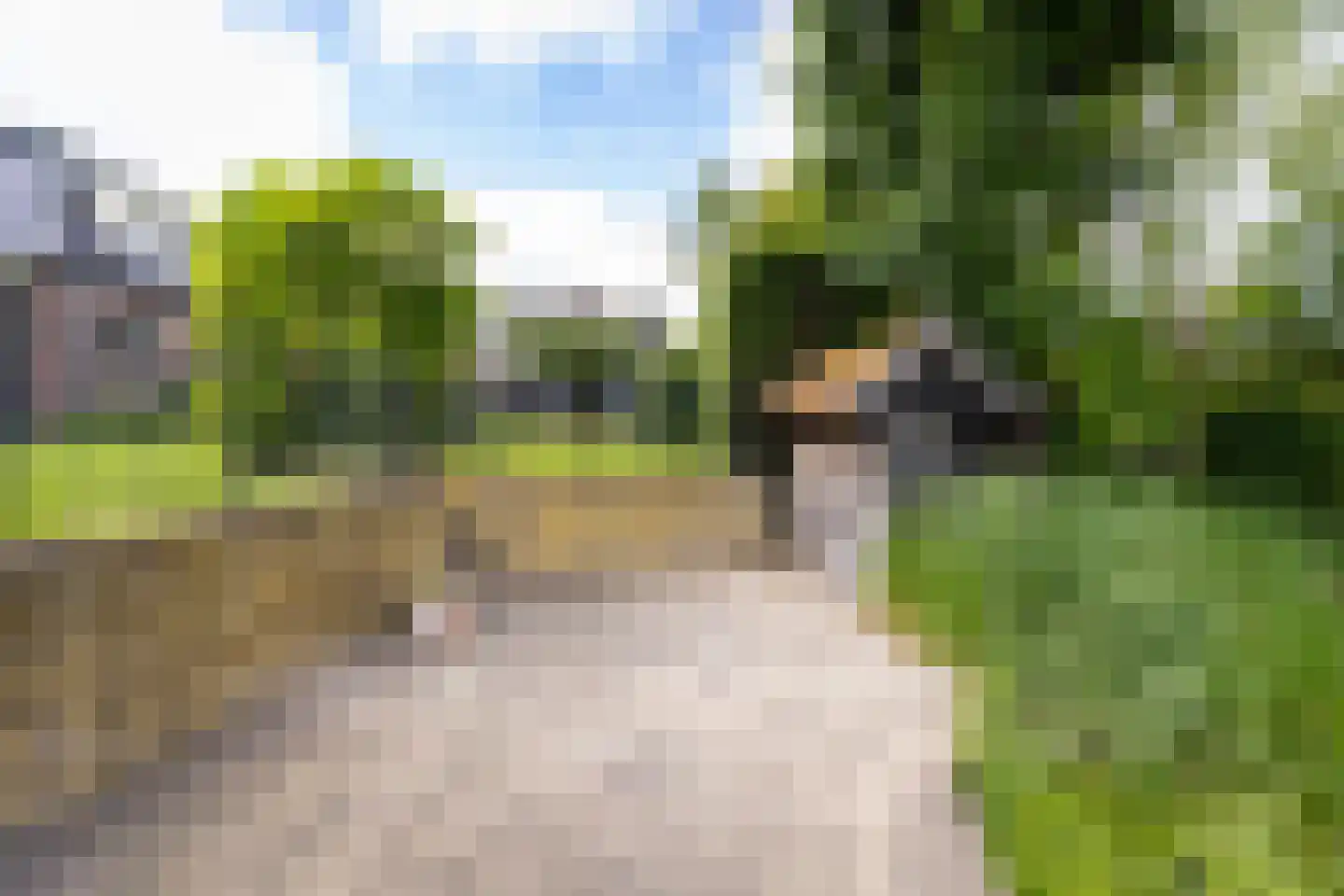 Bessie 4 Nibbixwoud thumbnail 67