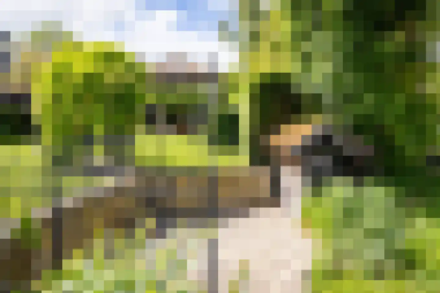 Bessie 4 Nibbixwoud thumbnail 68